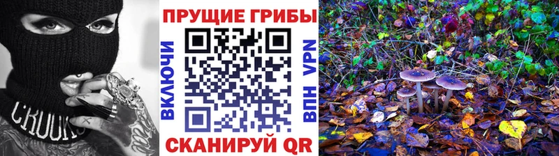 Псилоцибиновые грибы мухоморы  наркота  Куйбышев 