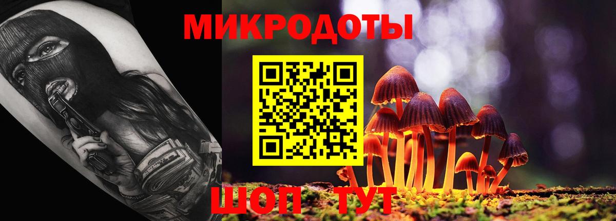 Куйбышев  Галлюциногенные грибы MAGIC MUSHROOMS  Вход с VPN 